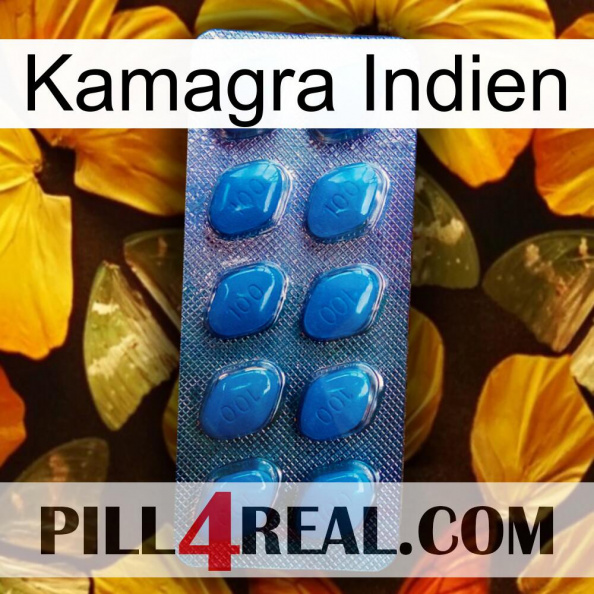 Kamagra India viagra1